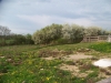 ferienwohungen-fruhling-017