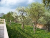 fruhling-201-005