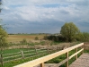 fruhling-201-008