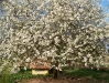 fruhling-201-031
