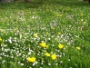 fruhling-201-041