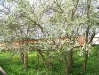 fruhling-201-043