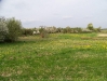 fruhling-201-063